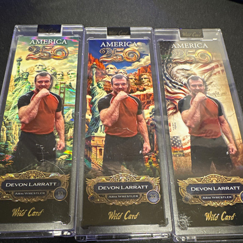 Lotto carte wild - wild, 2024