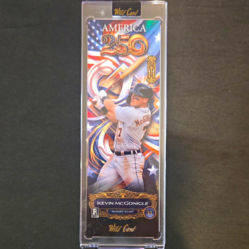 Wild card slim gem america - slim,