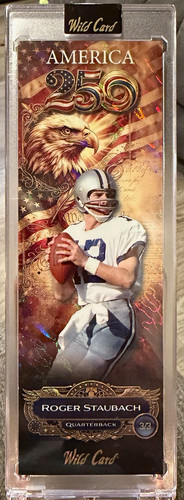 Wild card slim gem america - card,